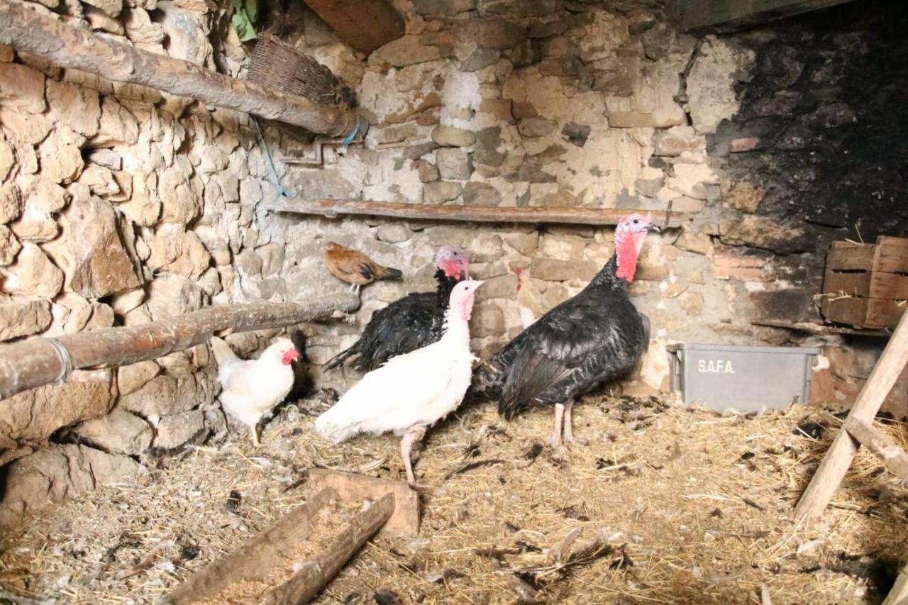 Casa Rural Amador Villarroya de los Pinares Kültér fotó